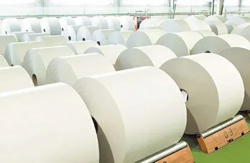 從2023年紙廠、紙機、產能與消費量看歐洲造紙業的大洗牌！