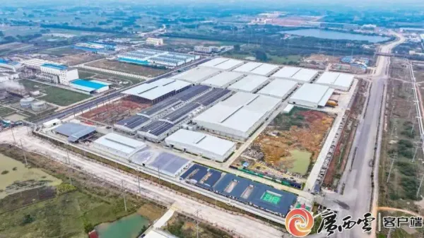 中國—東盟生活用紙產業園區初具規模