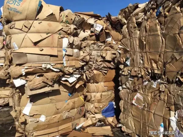 美國新增5家箱板紙廠：對全球OCC價格和市場格局的影響！