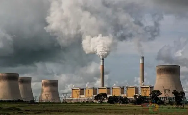 印度造紙行業(yè)的現(xiàn)狀、風(fēng)險(xiǎn)和發(fā)展機(jī)遇