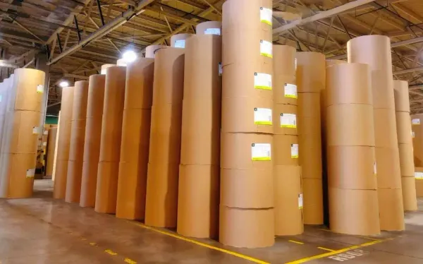 紙包裝行業縱覽：從疫情低迷中復蘇，迎接需求復蘇與定價挑戰！